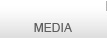 phoenix Media